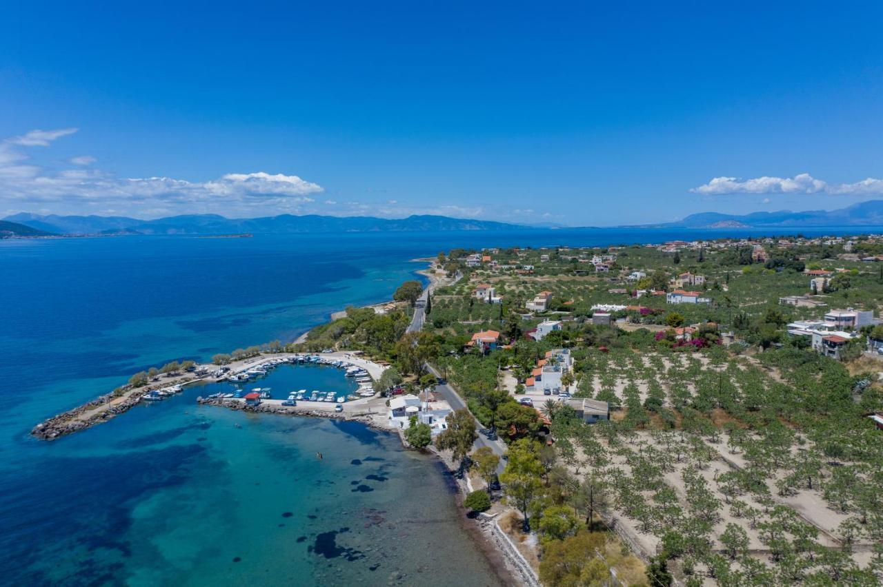 Stefanie Studios Aegina Exterior photo