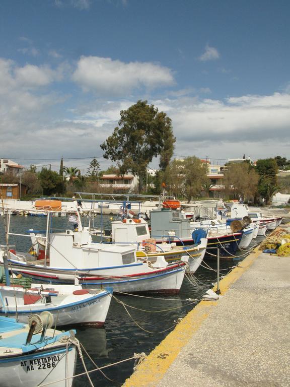 Stefanie Studios Aegina Exterior photo