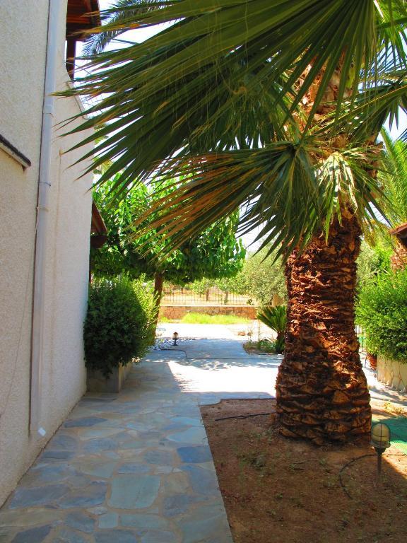 Stefanie Studios Aegina Exterior photo